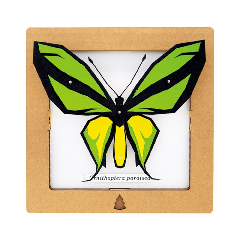 Bog Craft | SQAR | Butterfly 02