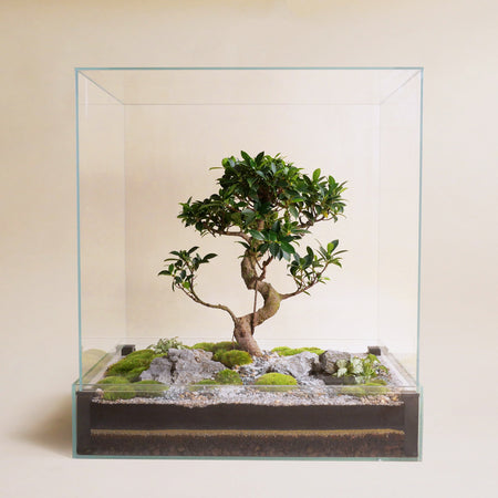 Niwa Design | Square