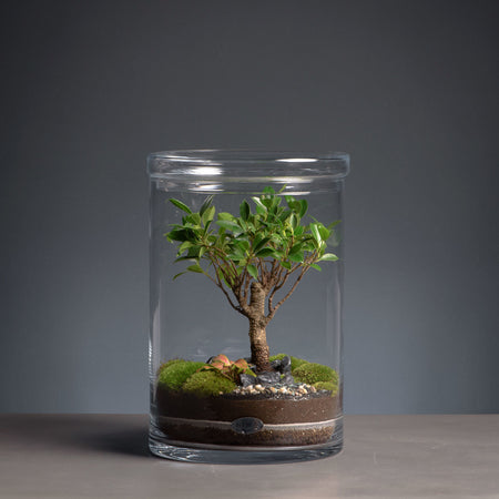 Niwa Design | Seattle