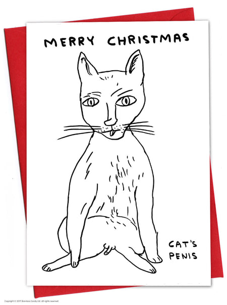 SHRIGLEY | Christmas Cards / Xmas Cat's Penis