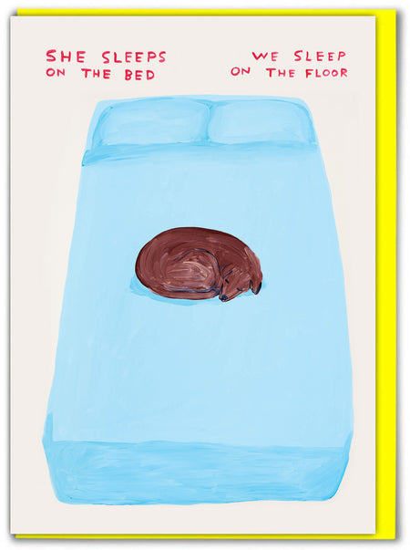 SHRIGLEY | Birthday Cards / She Sleeps On The Bed