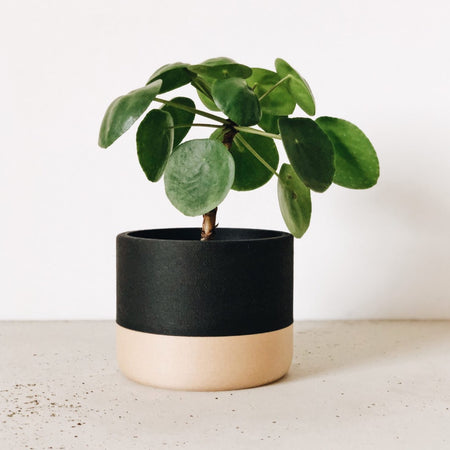 Minimum Design | Nairobi Planter