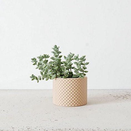 Minimum Design | Piko Planter