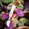 OPINEL | Chestnut/Garlic/Soft Fruit Knife