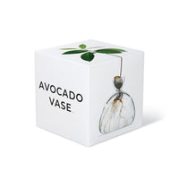 ILEX | Avocado Vase