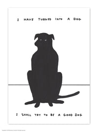 SHRIGLEY | Postcards