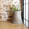Lyon Breton | Urban Garden | Nuclear Plant Flower Pot