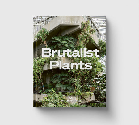 Brutalist Plants