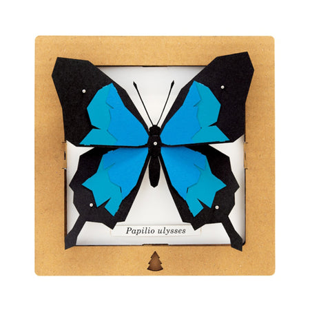 Bog Craft | SQAR | Butterfly 01