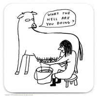 SHRIGLEY | Coaster | What The Hell