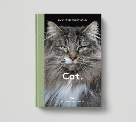 Hoxton Mini Press | Cat.