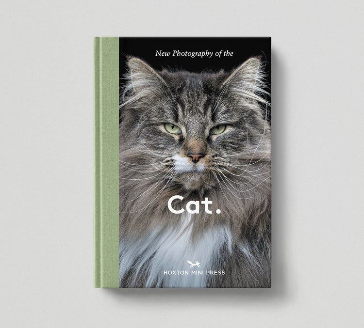 Hoxton Mini Press | Cat.