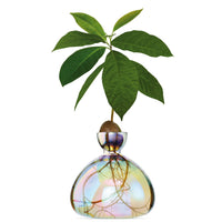 ILEX | Avocado Vase