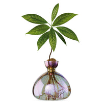 ILEX | Avocado Vase