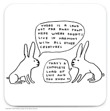 SHRIGLEY | Coaster | Live In Harmony
