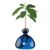 ILEX | Avocado Vase