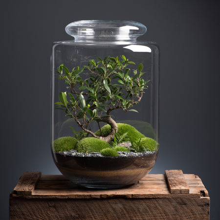 Niwa Design | Eden