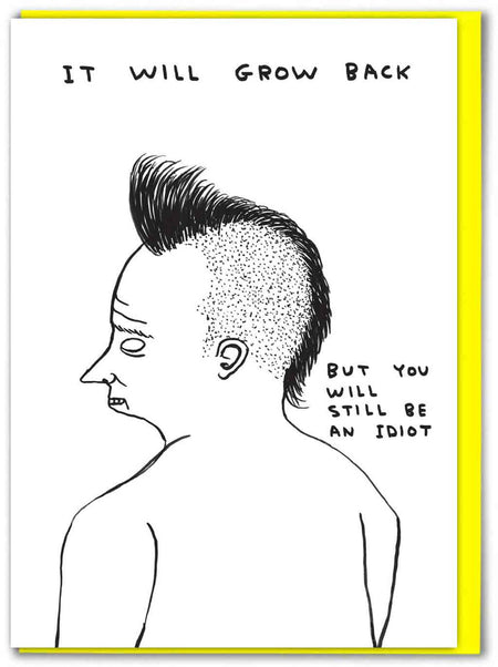 SHRIGLEY | Birthday Cards / Still Be An Idiot