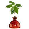 ILEX | Avocado Vase