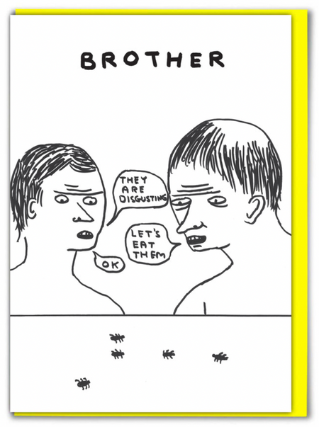 SHRIGLEY | Birthday Cards / Brother Brother