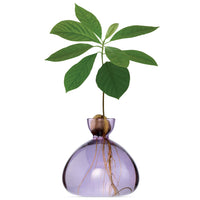 ILEX | Avocado Vase