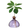 ILEX | Avocado Vase
