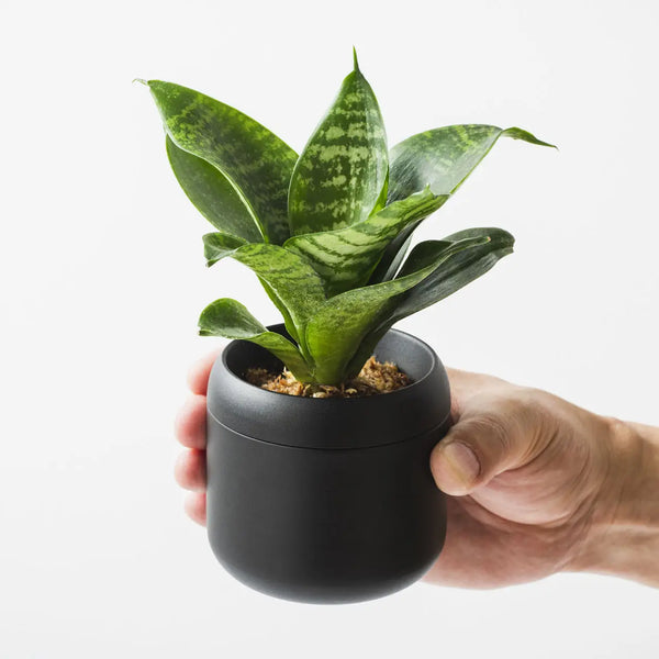 10 JIU | Aluminium Plant Pot | HACHI No. 2