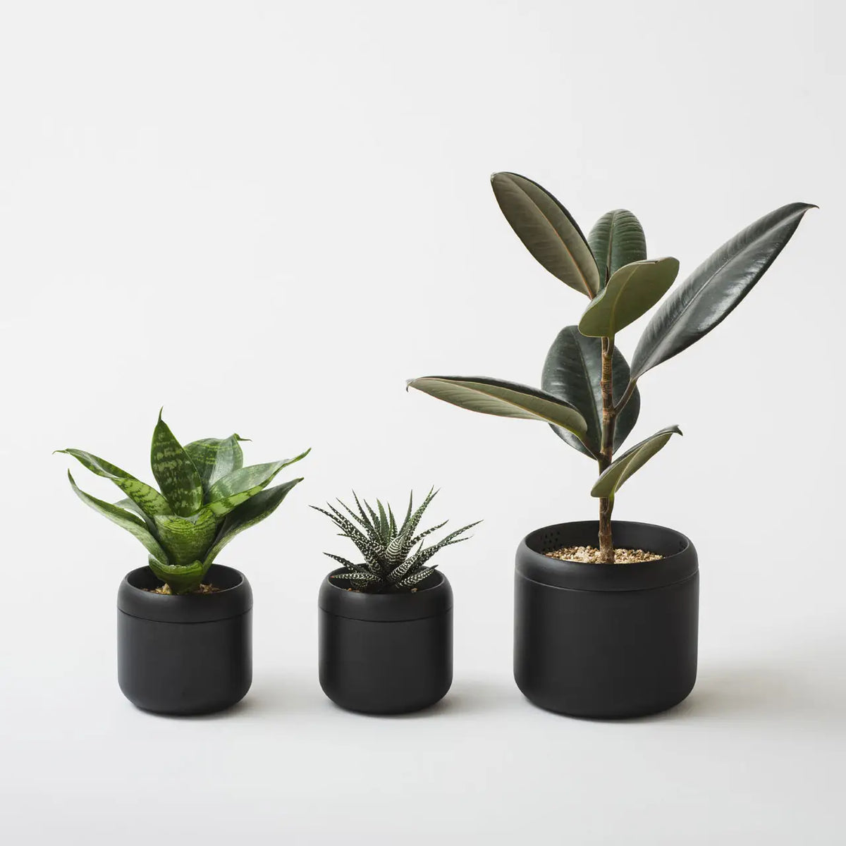 10 JIU | Aluminium Plant Pot | HACHI No. 2