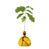 ILEX | Avocado Vase