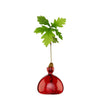 ILEX | Acorn Vase