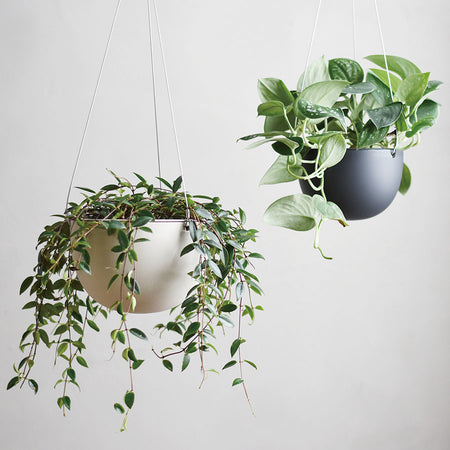 PLANT POT 201