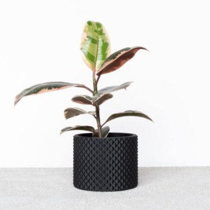Minimum Design | Piko Planter