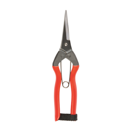 Niwaki | Garden Snips
