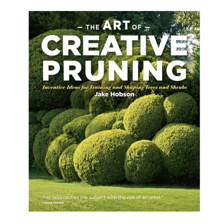Niwaki | The Art of Creative Pruning