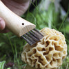 Opinel | No.8 Mushroom Knife