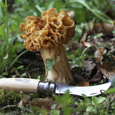 Opinel | No.8 Mushroom Knife