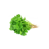 GGWW | Single Hydro Herb