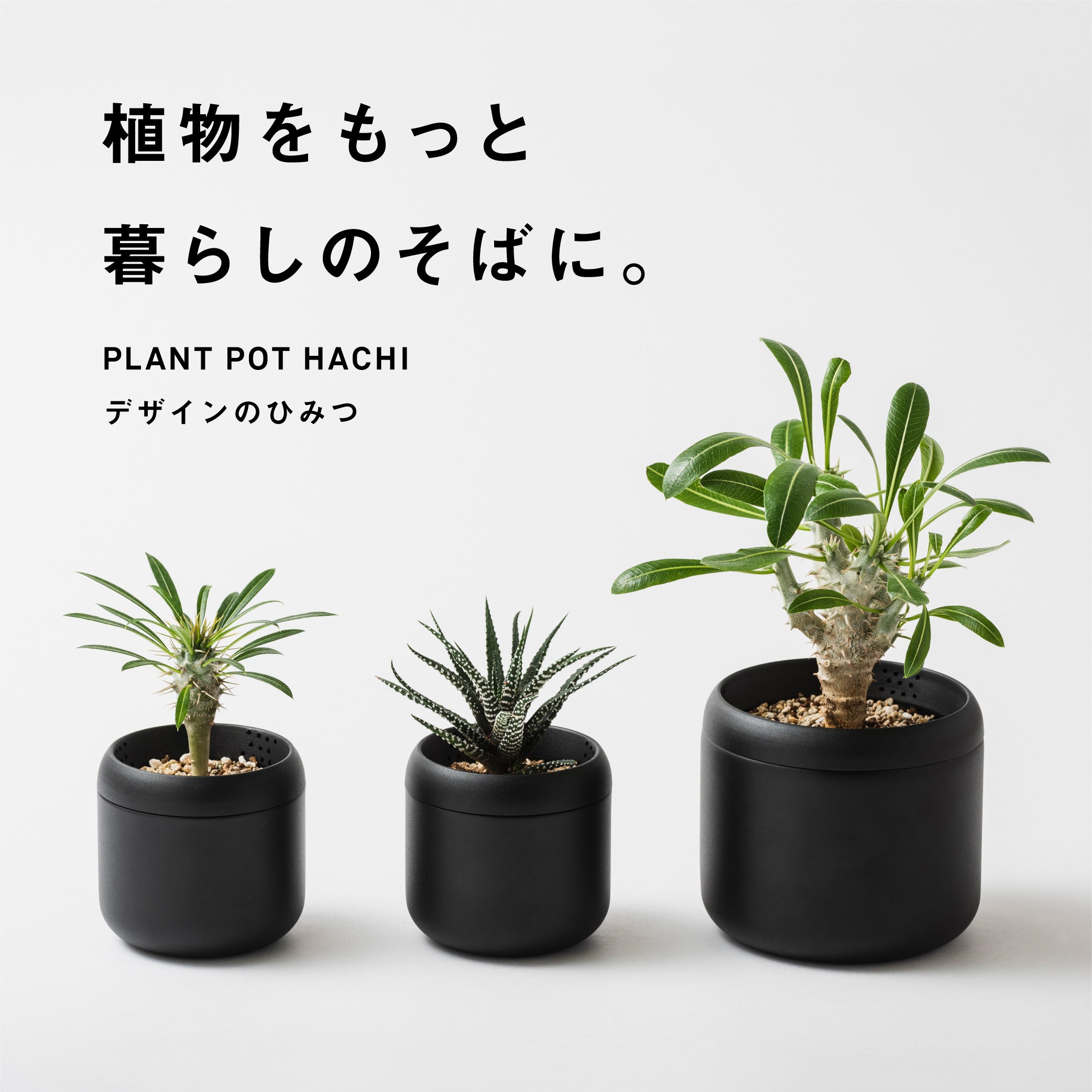 H&O cp × MAKINAGI Plants pot 口径φ13cm