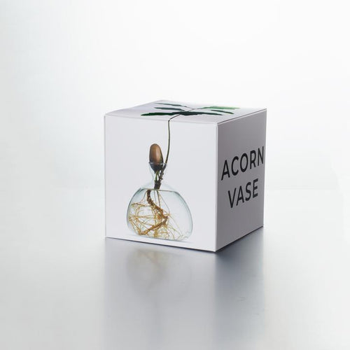 ILEX | Acorn Vase