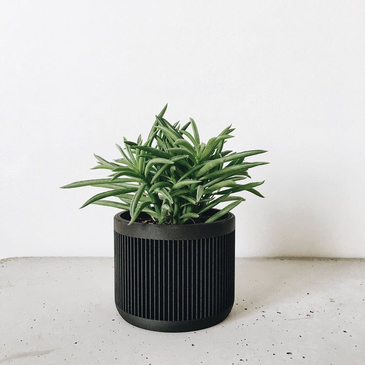 Minimum Design | Japan Planter